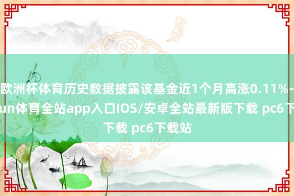 欧洲杯体育历史数据披露该基金近1个月高涨0.11%-kaiyun体育全站app入口IOS/安卓全站最新版下载 pc6下载站