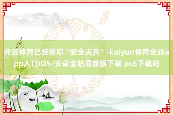 开云体育已经别称“安全尖兵”-kaiyun体育全站app入口IOS/安卓全站最新版下载 pc6下载站