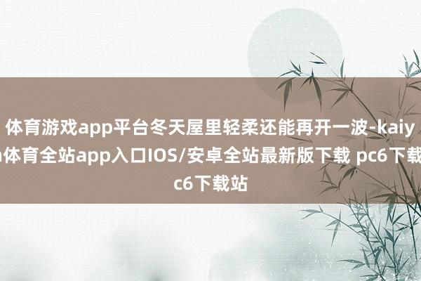 体育游戏app平台冬天屋里轻柔还能再开一波-kaiyun体育全站app入口IOS/安卓全站最新版下载 pc6下载站