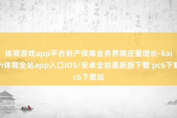 体育游戏app平台 财产保障业务界限庄重增长-kaiyun体育全站app入口IOS/安卓全站最新版下载 pc6下载站