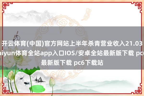 开云体育(中国)官方网站上半年杀青营业收入21.03亿元-kaiyun体育全站app入口IOS/安卓全站最新版下载 pc6下载站