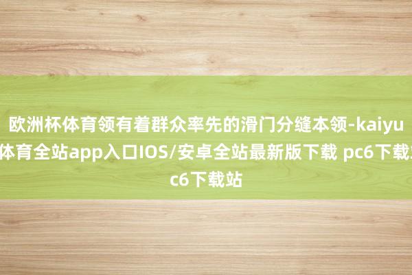 欧洲杯体育领有着群众率先的滑门分缝本领-kaiyun体育全站app入口IOS/安卓全站最新版下载 pc6下载站