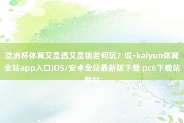 欧洲杯体育又是透又是锁若何玩？哎-kaiyun体育全站app入口IOS/安卓全站最新版下载 pc6下载站