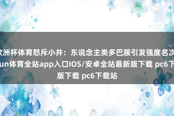 欧洲杯体育怒斥小井：东说念主类多巴胺引发强度名次-kaiyun体育全站app入口IOS/安卓全站最新版下载 pc6下载站