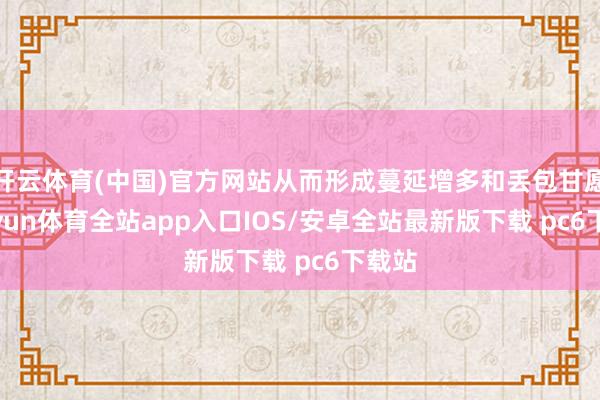 开云体育(中国)官方网站从而形成蔓延增多和丢包甘愿-kaiyun体育全站app入口IOS/安卓全站最新版下载 pc6下载站