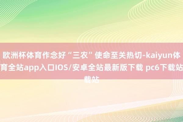 欧洲杯体育作念好“三农”使命至关热切-kaiyun体育全站app入口IOS/安卓全站最新版下载 pc6下载站
