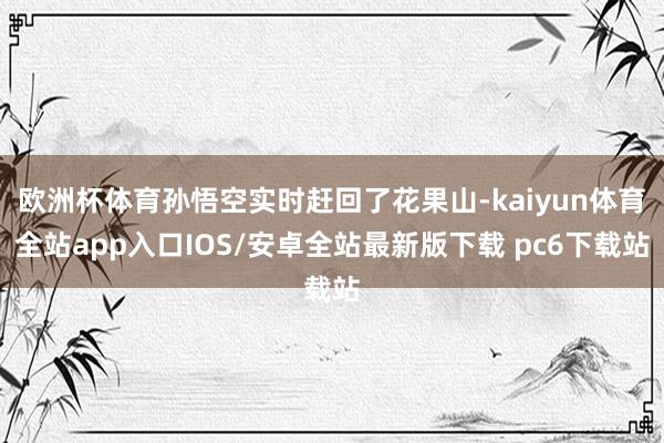 欧洲杯体育孙悟空实时赶回了花果山-kaiyun体育全站app入口IOS/安卓全站最新版下载 pc6下载站
