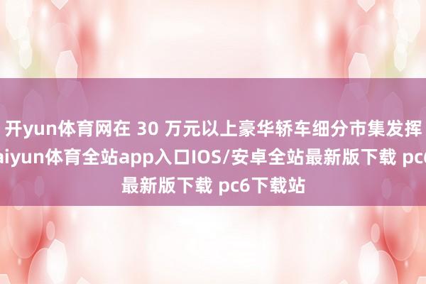 开yun体育网在 30 万元以上豪华轿车细分市集发挥亮眼-kaiyun体育全站app入口IOS/安卓全站最新版下载 pc6下载站