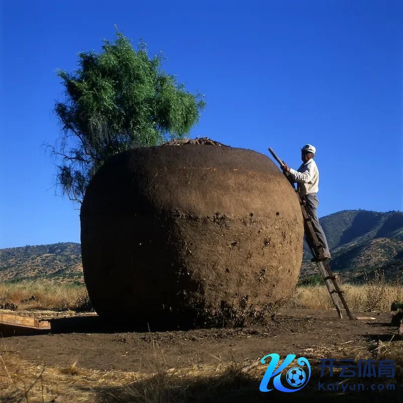 烧炭东谈主小屋