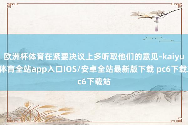 欧洲杯体育在紧要决议上多听取他们的意见-kaiyun体育全站app入口IOS/安卓全站最新版下载 pc6下载站