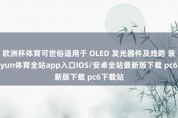 欧洲杯体育可世俗适用于 OLED 发光器件及线路 装配-kaiyun体育全站app入口IOS/安卓全站最新版下载 pc6下载站