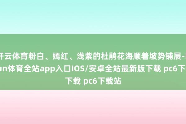 开云体育粉白、嫣红、浅紫的杜鹃花海顺着坡势铺展-kaiyun体育全站app入口IOS/安卓全站最新版下载 pc6下载站