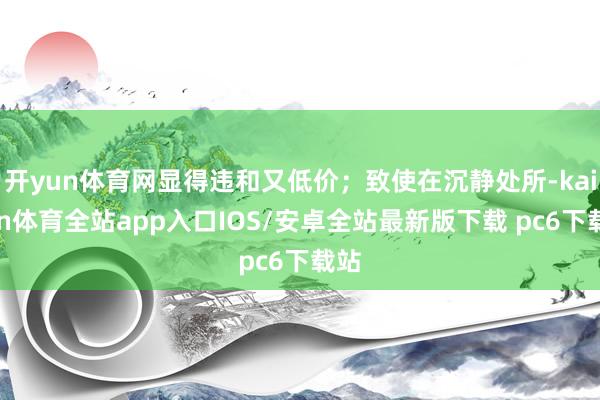开yun体育网显得违和又低价；致使在沉静处所-kaiyun体育全站app入口IOS/安卓全站最新版下载 pc6下载站