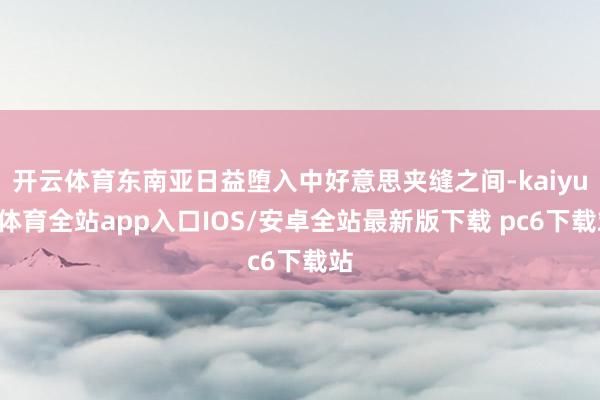 开云体育东南亚日益堕入中好意思夹缝之间-kaiyun体育全站app入口IOS/安卓全站最新版下载 pc6下载站